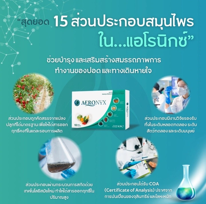 15 ส่วนประกอบ