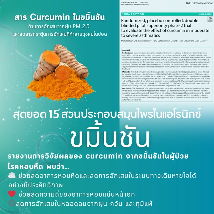 ขมิ้นชัน
