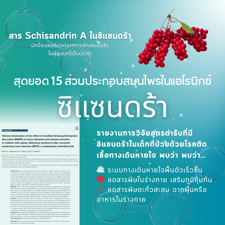 ซิแซนดร้า