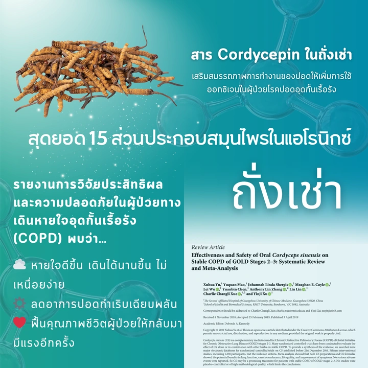 ถั่งเช่า