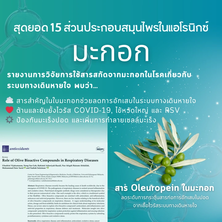 มะกอก