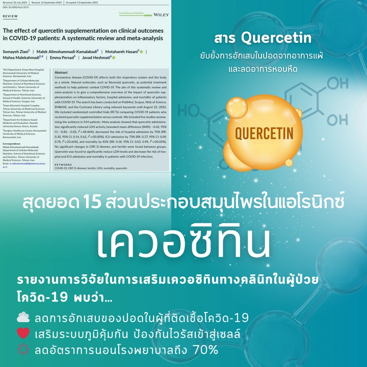 เควอซิทิน