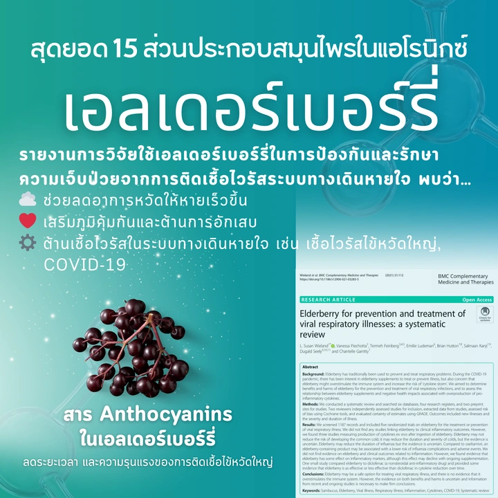 เอลเดอร์เบอร์รี่