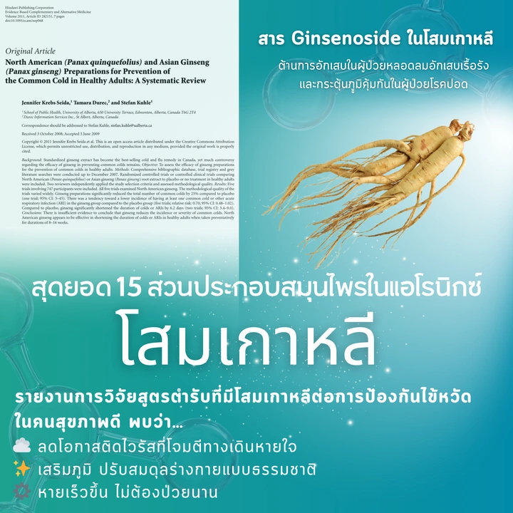 โสมเกาหลี